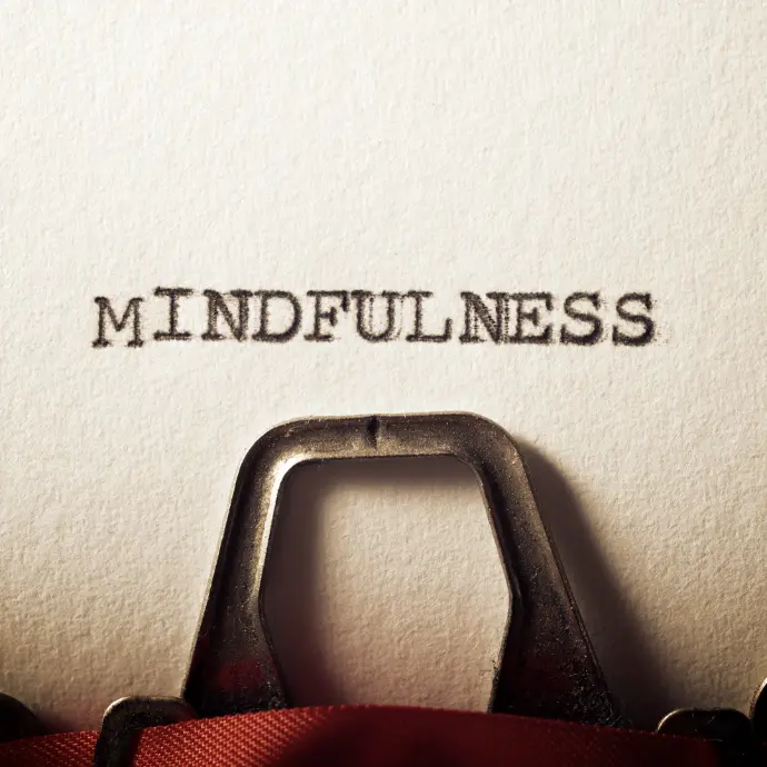 The Mindful Leader The Mindful Leader
